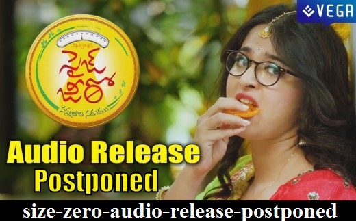 size-zero-audio-release-postponed
