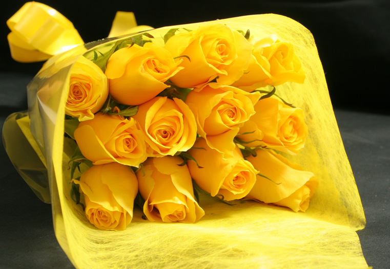 beautiful-yellow-roses-7