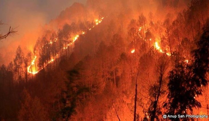uttarakhand-fire759