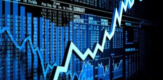 forex trader