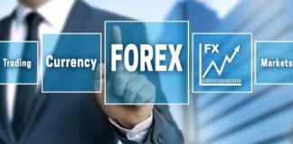 Utilize The Professional Forex Brokers India For Legal Trading