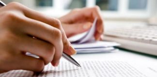 essay writing