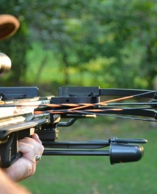 Why You Should Try Hunting With a Crossbow