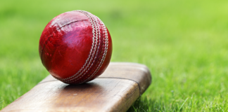 fun fact of cricket