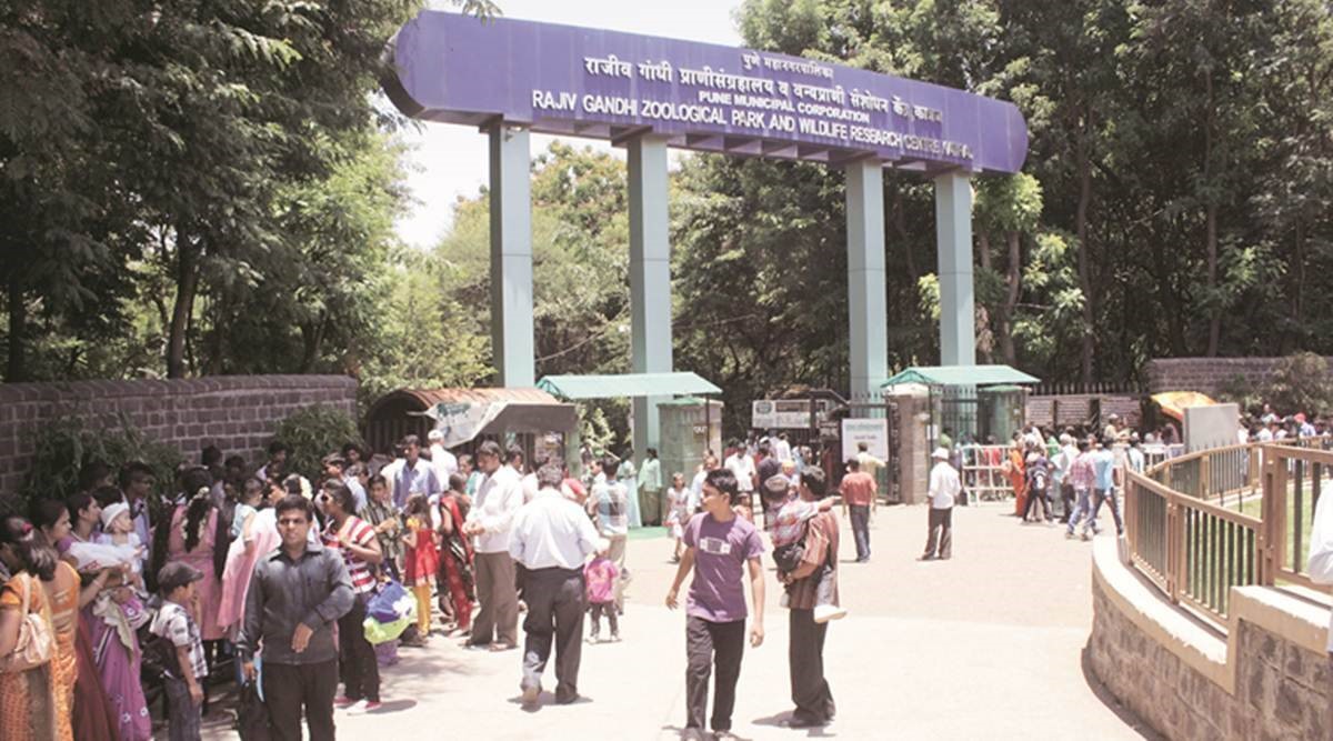 Rajiv Gandhi Zoological Park and Wildlife Research Centre, Katraj