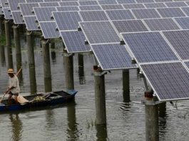 Solar Panels for Fish Farming