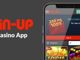 Everything You Need to Know About Pin Up App for India