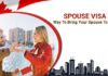 Step By Step Guide to Applying for a Canadian Visa for Your Spouse in India