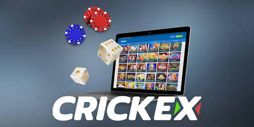 How to bet in Crickex | Best Cricket Betting Site in India